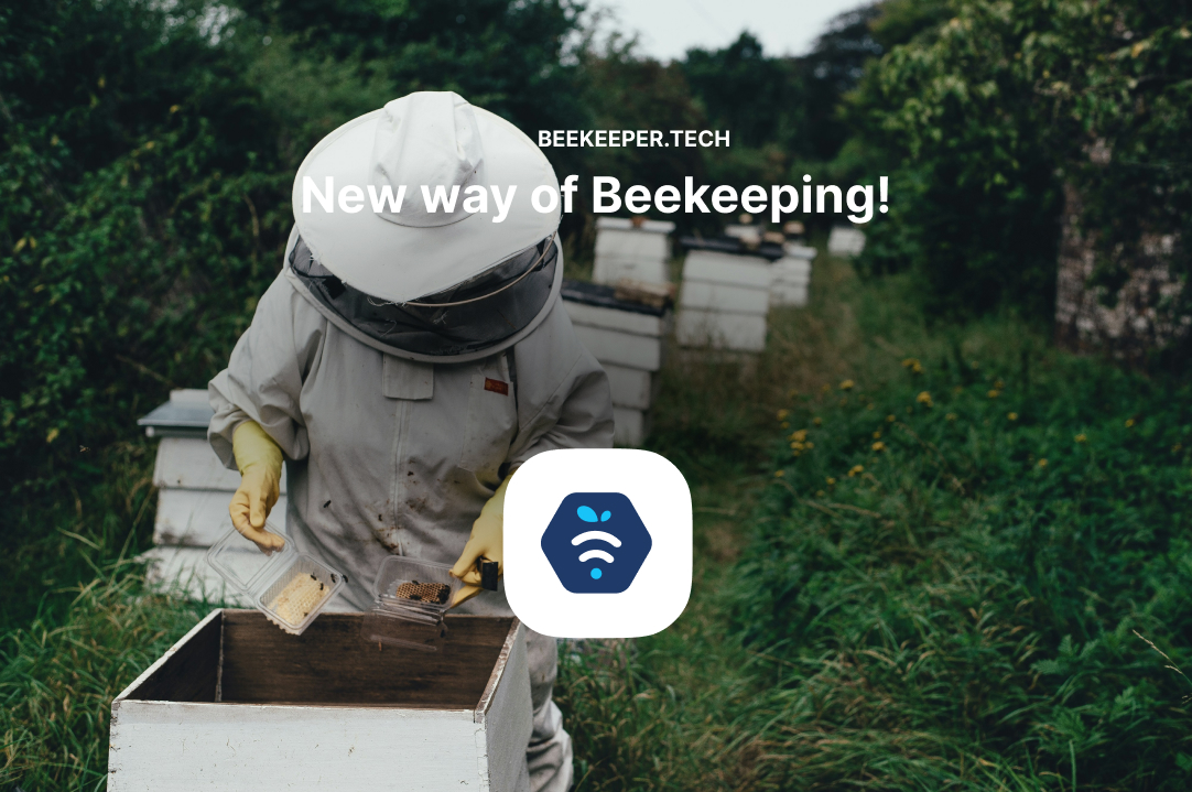 New way of Beekeeping!